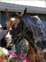  ?? GARRY JONES — THE ASSOCIATED PRESS ?? A groom bathes Preakness Stakes entrant Term of Art outside the stakes barn at Pimlico Race Course in Baltimore following a morning gallop.