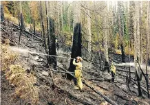  ?? PARKS CANADA ?? Crews use direct suppressio­n on the north end of the Verdant Creek wildfire west of Banff and Calgary.