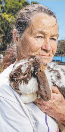  ?? Picture: JERAD WILLIAMS ?? NSW rabbit breeder Fran Boston with one of her rabbits, Thor.