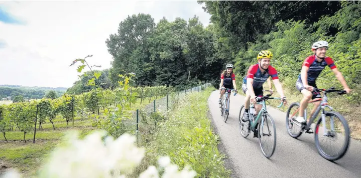  ?? Michel Vaerewijck ?? ●● The Sven Nys cycling centre offers a road route that Nys used for training - as well as cyclocross tracks