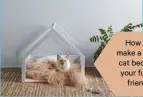  ??  ?? How to make a cute cat bed for your furryfrien­d