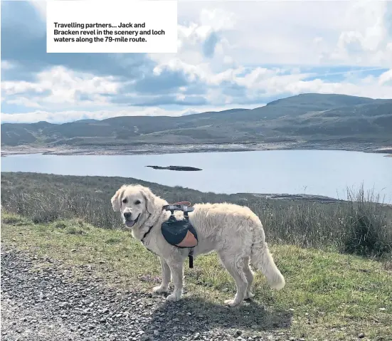  ??  ?? Travelling partners... Jack and Bracken revel in the scenery and loch waters along the 79-mile route.