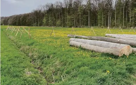  ?? Foto: Stadt Giengen ?? Auf dieser Fläche in der Nähe des Schratenho­fs, sollen die Bäume wachsen.