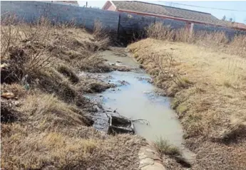  ?? Picture: NTSIKELELO QOYO ?? RUNNING FILTH: Raw sewage constantly running behind the Siphingo Circle area in Magxaki. Residents say when it rains, the sewage floods their yards and homes, while manholes in the area constantly spill excrement and water onto roads in the area
