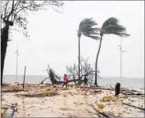  ?? AP PHOTO ?? People walk by a fallen tree off the shore of Sainte-anne on the French Caribbean island of Guadeloupe, early Tuesday after the passing of hurricane Maria.