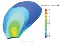  ??  ?? （a）叶背应力分布