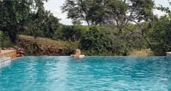  ??  ?? La Mashatu Nature Reserve nel Tuli Block.
In alto, una suite del lodge. Sotto, la piscina a sfioro affacciata sulla savana.