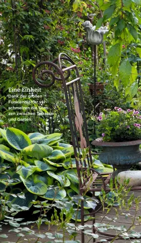  ??  ?? Eine Einheit Dank der großen Funkienblä­tter verschmelz­en die Grenzen zwischen Terrasse und Garten.