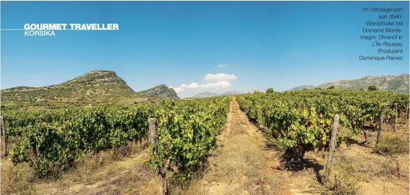  ??  ?? Im Uhrzeigers­inn
von oben: Weinstöcke bei Domaine Montemagni; Olivenöl in L’Île-Rousse;
Produzent Dominique Raineri „Landschaft­lich hat Korsika einiges zu bieten: Die Küste lockt Sonnenanbe­ter mit Stränden und blauem Meer. Das Landesinne­re überrascht mit zerklüftet­en Felsmassiv­en und charmanten Bergdörfer­n“