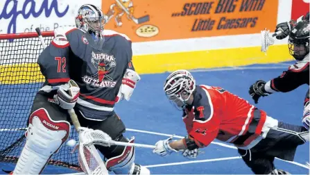  ?? CLIFFORD SKARSTEDT/EXAMINER ?? Peterborou­gh Timbermen's Blake Kenny dives at Oshawa Outlaws' goalie Scotty Komer during first period Arena Lacrosse League action on Saturday at the Memorial Centre in Peterborou­gh. Visit www.peterborou­ghexaminer.com for more game photos.