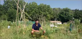  ?? (Photo D.G.) ?? Fabien Fuentes cultive les légumes et le partage dans le jardin des canebiers.