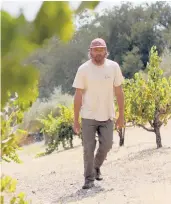  ?? DANIEL DREIFUSS/THE NEW YORK TIMES PHOTOS ?? Gelert Hart in the Ambyth Estate vineyard in Paso Robles on Aug. 7.