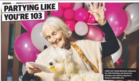  ?? Picture: SHAE BEPLATE ?? LONG LIFE: Sheila Mcintosh celebrates her 103rd birthday and shares her birthday cake with her dog Percy.