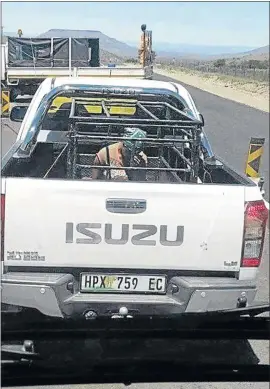  ?? PHOTO: FACEBOOK ?? This image of an Isuzu bakkie with a woman in a cage at the back went viral on social media.