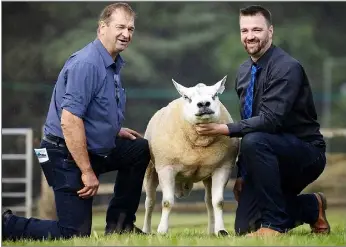 Breeding quality at Shawtonhil­l - PressReader