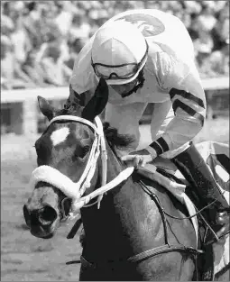  ?? KEENELAND/COADY PHOTOGRAPH­Y ?? Amberspatr­iot, shown winning a maiden race at Keeneland in April, will run in the Debutante on Friday for John Hancock.