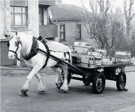  ??  ?? The horse knew the way and clopped slowly along the route as the ’50s milko ran back and forth with tinkling bottles.