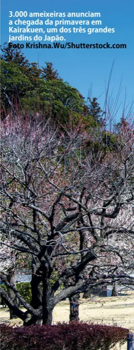  ?? Foto Krishna.Wu/Shuttersto­ck.com ?? 3.000 ameixeiras anunciam a chegada da primavera em Kairakuen, um dos três grandes jardins do Japão.