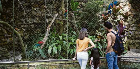  ?? Rafael Hupsel/Folhapress ?? Visitantes observam aves no Zoológico de São Paulo, na zona sul da cidade, que reabriu nesta quinta (15) depois de passar quase dois meses fechado