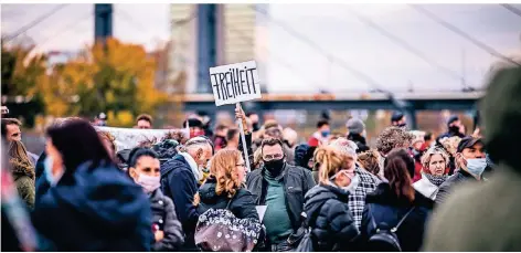  ?? RP-FOTO: ANNE ORTHEN ?? Zur Anti-Corona-Demo auf den Oberkassel­er Rheinwiese­n hatten nur wenige Schilder oder Banner mitgebrach­t.