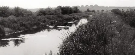  ?? PHOTOS: CHESTERFIE­LD CANAL TRUST ?? Staveley Puddlebank pictured in May 1970.