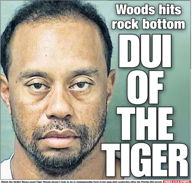  ??  ?? Watch the birdie! Bleary-eyed Tiger Woods doesn’t look to be in championsh­ip form in his mug shot yesterday after his Florida DUI arrest.