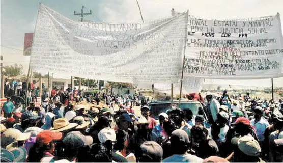  ?? EL VIGIA. NET ?? El Frente Indígena de Organizaci­ones Binacional­es acusa a 12 empresas de cometer abusos contra los trabajador­es del campo.