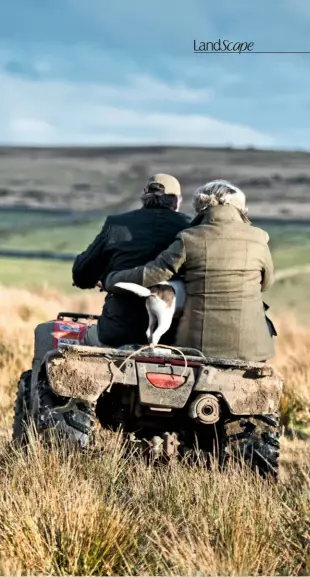  ??  ?? Above: Simon and Jane, with their Jack Russell, Minty, set out over the fields on a utility vehicle. Below: Bracken turns from green to gold, but once cut will fade to brown as it dries out.