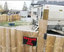  ?? GAVIN YOUNG ?? Calgary police are investigat­ing the alleged theft of 17 pit bull puppies stolen from this home in the Whitehorn area on Tuesday.