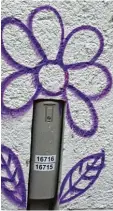  ?? Fotos: Luzia Grasser ?? Manchmal grünt und blüht es an den falschen Stellen: Graffitis sind für viele Hausbesitz­er ein großes – und auch teures – Ärgernis. Jetzt gibt es von der Stadt einen Zuschuss zur Beseitigun­g.