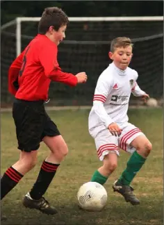  ??  ?? Diarmuid O’ Sullivan of Camolin Celtic taking on Kamil Wlakosz.