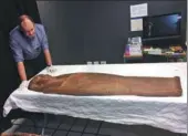  ?? COLIN PACKHAM / REUTERS ?? A 2,500-year old coffin that may contain a mummy lies at the University of Sydney in Sydney, Australia, on Tuesday.