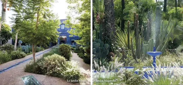  ??  ?? Le Jardin Secret. Jardin Majorelle.