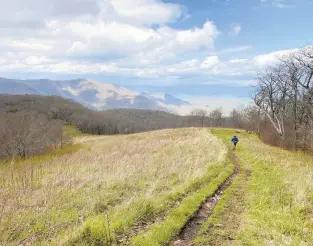  ?? DANNY EYERMAN AND MOLLY MCDONALD/NYT ?? The coronaviru­s pandemic has devastated towns along the Appalachai­n Trail and created rifts in a tight-knit community. It has also left hikers, small businesses and the trail’s caretakers facing tough questions.