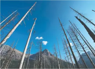  ?? BRANDON HARDER ?? Montana allowed outdoor activities to resume April 27. Pictured is Glacier National Park.