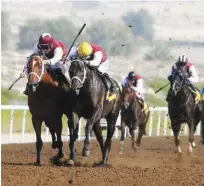  ??  ?? Jebel Ali is set to host the penultimat­e meeting of the season on Friday.
