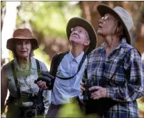  ?? ?? Birders Tricia Jordan, Martha O'Neal and Sue Cossins, from left, explore the Grasshoppe­r Loop Trail at the La Honda Creek Open Space Preserve in La Honda on June 1.