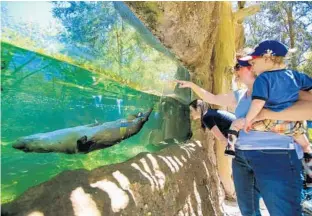  ?? JACOB LANGSTON/STAFF PHOTOGRAPH­ER ?? Jennifer Settle, with son Spencer and niece Blayne Bogard, visit the otter exhibit last week at the Central Florida Zoo & Botanical Gardens in Sanford. Officials hope an $85 million renovation boosts attendance.