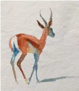  ??  ?? Anticipati­on, watercolou­r, 8310in (20.5325.5cm).
I generally ‘warm up’ in the bush with the herd animals, such as the springbok shown here. I paint one individual using several from the group: I lay the head, neck and back in one brushstrok­e from one animal and then find the legs from another as they move into a similar stance, with the eye and horns gleaned from yet one more. To ensure the greatest chance of repetition, I check the main direction in which the herd is heading as they graze