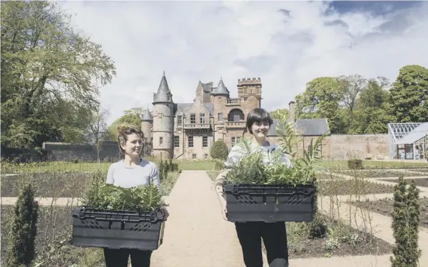  ??  ?? 0 Kirsten Wilson and Cicely Farrer deliver ferns to the newly restored 19th century fernery at Hospitalfi­eld House