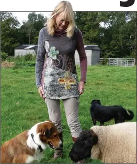  ??  ?? Animal magic: Moira Foot with her dogs and Shaun, a blind sheep