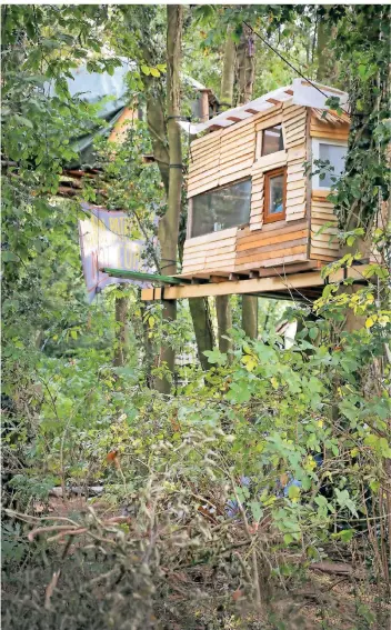  ?? ?? In den Bäumen haben die Klimaaktiv­isten Baumhäuser gebaut – teils in zehn Metern Höhe.