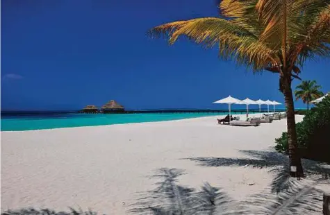  ?? Rex Features ?? An island in Maldives. A globally tumultuous 2016 has exacerbate­d the travel trend of seeking remote corners and untouched places, of getting away from it all and feeling physically far away from all your worries.