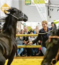  ?? Foto: Saskia Wehler ?? Informatio­nen überall: Ob an den Messeständ­en mit Ausrüstung für Reiter und Pferd oder in den Reitringen in den Hallen 1, 3 und 4, wo Top‰Trainer Einblicke in ihre tägliche Arbeit gewähren.