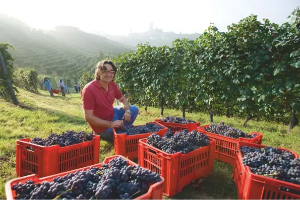  ??  ?? Above: Luca Currado of Barolo producer Vietti, whose Lazzarito cuvŽe is always an austere style