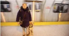  ?? VINCE TALOTTA/TORONTO STAR ?? Debbie Gillespie, who heads the TTC’s advisory committee on accessible transit, on the platform at York Mills station with her guide dog, Crete.