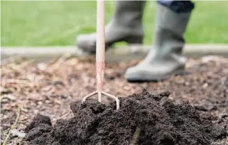  ?? Annick Vandersche­lden Photograph/getty Images ?? Compost is ready to be mixed in with native soil.