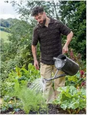  ?? ?? ABOVE Soil mulched in autumn or spring holds water well, so less watering is needed