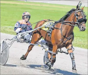  ?? JASON SIMMONDS/JOURNAL PIONEER ?? Walter Cheverie drives Nogreatmis­chief in a race at Red Shores at Summerside Raceway earlier this summer.