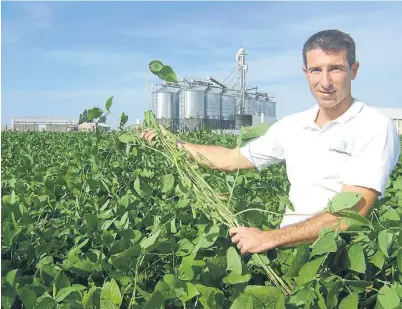  ??  ?? Bien nutrida. Andrés Pulero, ingeniero agrónomo de La Bragadense, está convencido de las ventajas de la práctica.